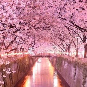 Meet your Posher, Nayyirah